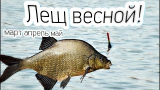 Ссылка