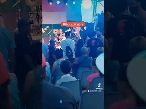 Biborszél újra reggel van