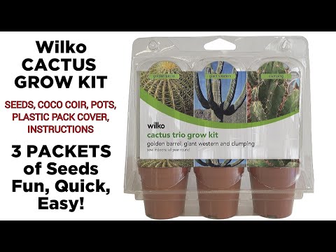 WILKO Cactus Trio Grow Kit! Three seed packets! Fun & Easy! Growing Cactus from Seed