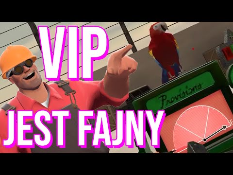 TF2 VIP na Brygadzie Graczy jest fajny