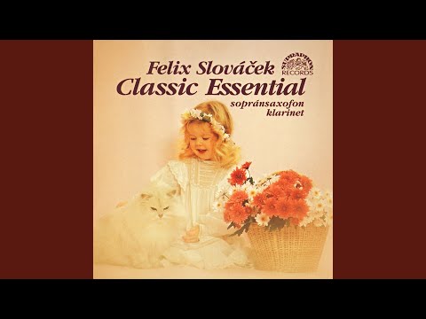 Symfonie č. 5 e moll, op. 64 - Andante. Allegro con animo