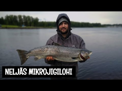 LOHENKALASTUS YÖLLÄ PIMEÄSSÄ - MERIKOSKI - ORKA MIKROJIGIT