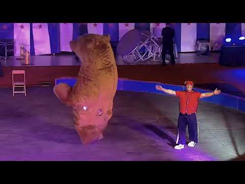 download lagu mp3 mp4 The Shrine Circus, download lagu The Shrine Circus gratis, unduh video klip The Shrine Circus
