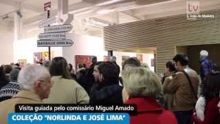preview picture of video 'Visita guiada à exposição Traço Descontínuo - Coleção Norlinda José Lima'