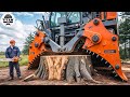 Extreme Dangerous Monster Stump Removal Excavator Amazing Fastest Wood Chipper Machines 13
