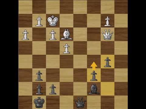 Artyom Timofeev - Bu Xiangzhi