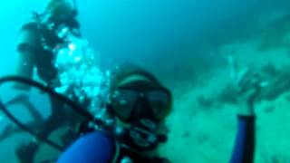 Diving into Cruising - West Palm Beach Dive Trip June 2012