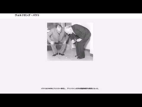 ヴォルフガング・パウルについて詳しく解説
