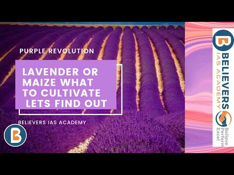 Believers IAS video thumbnail