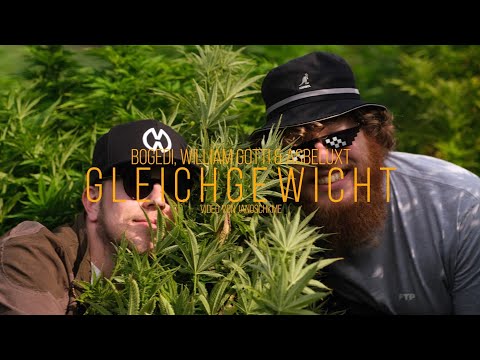Bogedi, William Gotti & Asbeluxt - Gleichgewicht