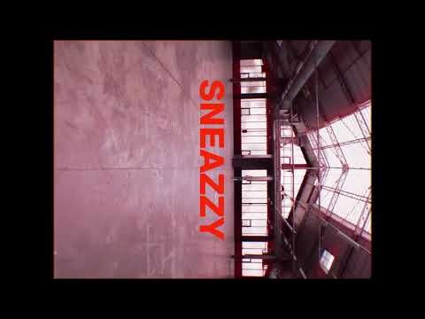 Zero détail Sneazzy ft Nekfeu  clip officiel  (reupload).
