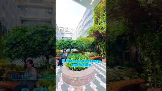Royal Caribbean Central Park on Oasis Class Ships Harmony of the Seas