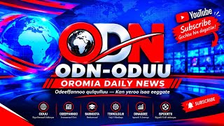 Download lagu ODN-ODUU | OROMIA DAILY NEWS | Qophiin Keenya Xumurameera! 🎙️ Oduu Afaan Oromoo mp3