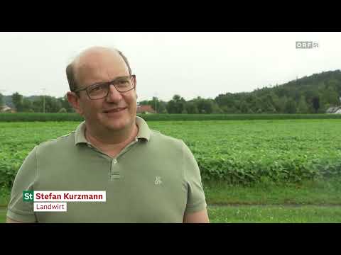Steirische Landwirtschaft: Blühstreifen