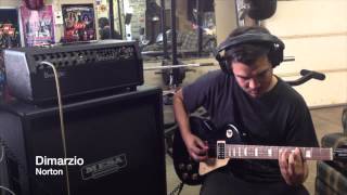 Video thumbnail for EVH Frankenstein vs Dimarzio Norton by thesalienttruth