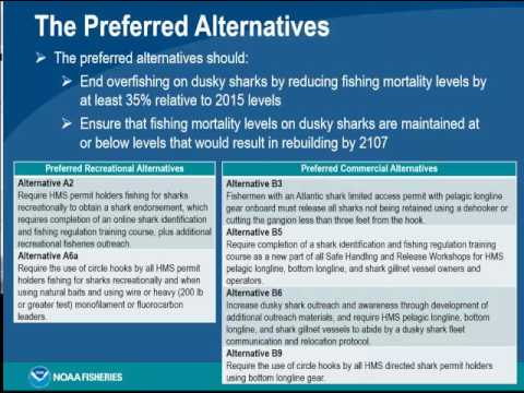 ASMFC Coastal Sharks Board Proceedings Oct2016