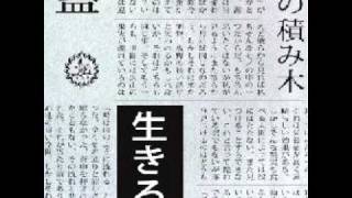 M - 雛鳥 [hinadori]