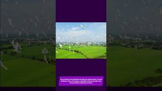 Download lagu Dream Meaning - Flying mp3