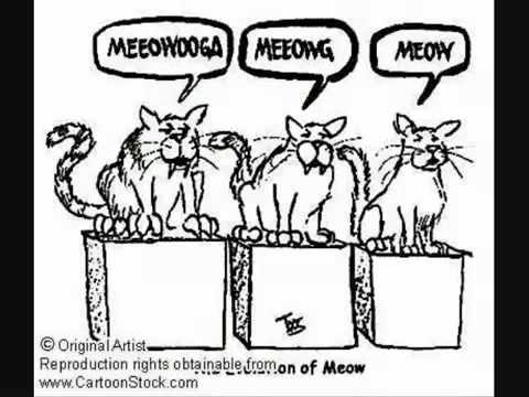 Creation vs  Evolution  Tower of Babel and Languages