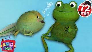 Frog Song | +More Nursery Rhymes & Kids Songs - CoCoMelon