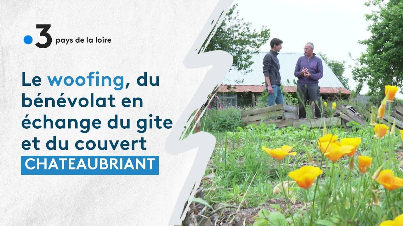 Châteaubriant, Loire-Atlantique : par le biais du woofing, Gérard fait partager sa passion du jardin