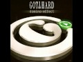 Gotthard I Wonder album Domino Effect