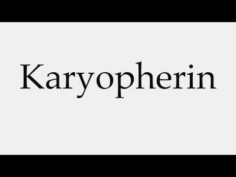 How to Pronounce Karyopherin