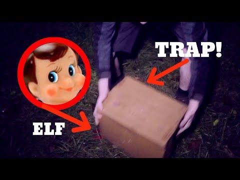 download lagu mp3 mp4 Trap Elf, download lagu Trap Elf gratis, unduh video klip Trap Elf