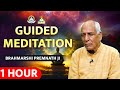 Guided Meditation By Brahmarshi Premnath Ji 1 Hour Meditation Music