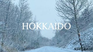 [遊記] 11月北海道自駕之旅分享