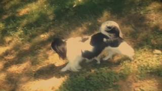 Infinite Orbit--Explosions in the Sky