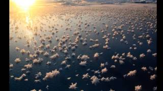 sun ra - love in outer space