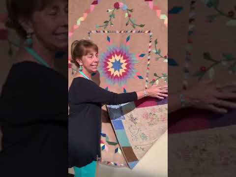 How Cindy Seitz-Krug Fixed a Quilt that the Fabrics Bled On