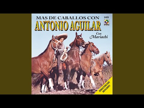 El Tío Juan video