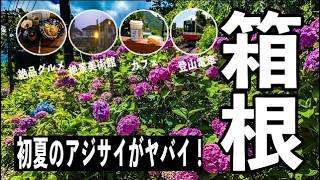 【Vlog】マサの初夏 箱根温泉旅 前半 あじさいがやばかった！グルメ・美術館・温泉どれもよかった！
