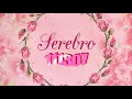 SEREBRO%20-%20111307