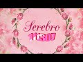 Serebro 111307