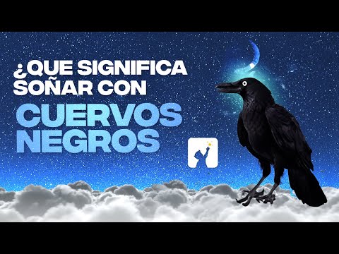 ¿Qué Significa Soñar con Cuervos Negros? 💤
