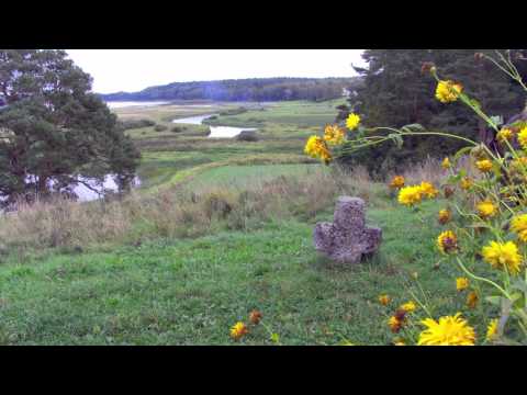 Spare Me Your Self-Pity