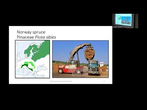 Trees of Europe - SFA Dendrology Lecture (FORS 2319)