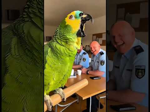 Der lustigste Papagei der Welt 😂 #Papagei #lustig #parrot #witzig #funny