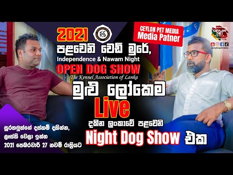 2021 පලවෙනි KASL Dog show  එකේ වැඩ මෙහෙමයි 😍🥰| Independence & Nawam Night Open Dog Show