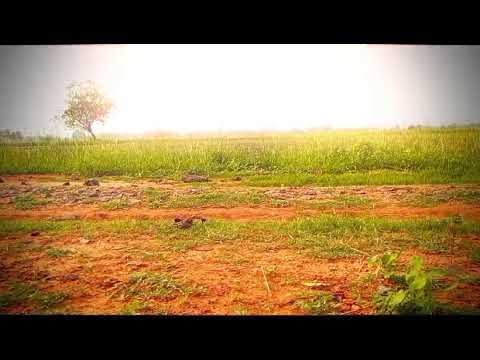 who are all like this nature???❤😍