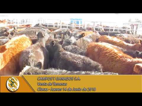 14-06-18 Venta de Terneras - Campos y Ganados S.A. - Claraz.