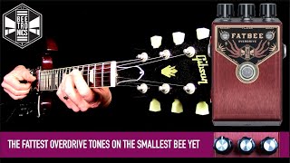 Video thumbnail for Beetronics Fatbee by Mike Hermans