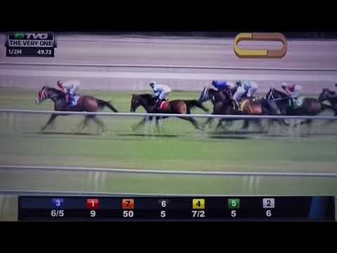 VERY ONE (G 3) STAKES 3/3/18 - HOLY HELENA !!!