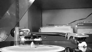 Dream  In Moog- Agrovators