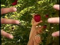 Oobi TV Show Theme Song