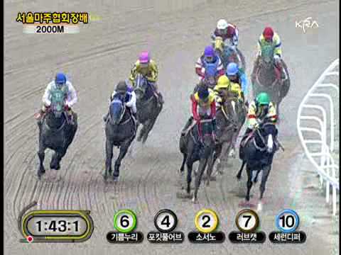2010 Seoul Owners' Cup (G3) - Serendipper