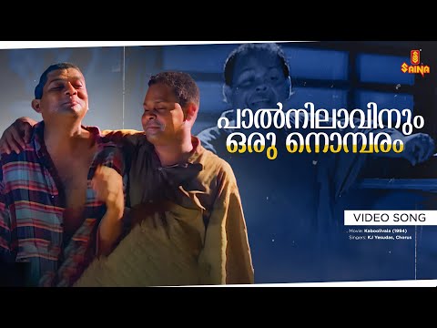 Paalnilaavinum Video song | SP Venkitesh | Innocent, Jagathy Sreekumar - Kaboolivala
